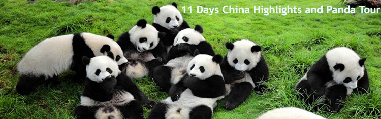 11 Days China Highlights and Panda Tour
