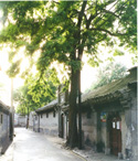 Ancient Beijing and New Olympic Tours