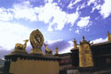 5 Days of Lhasa City Tour