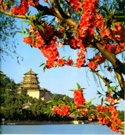 Beijing Badaling Great Wall and Summer Palace Tour