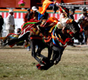 8 Days Yushu Horse Racing Festival Tour